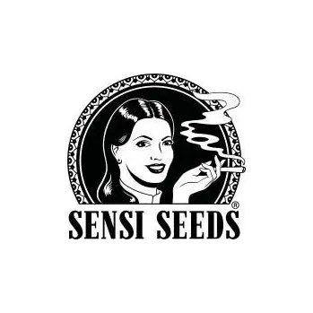 Semeno Sensi Seeds Purple Bud Počet ks Feminizované: 3