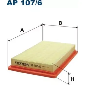 Filtr do auta FILTRON Vzduchový filtr AP 107/6