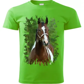 Pánské tričko Pánské tričko s koněm , kůň vzor 458 zelené XL (Pánské trička s koňskou hlavou , koněm , koňmi , kůň)