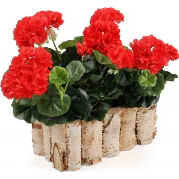 Truhlík Dřevěný truhlík z břízy 30 cm