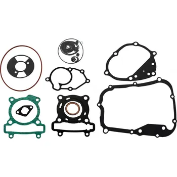 Automobilové těsnění RMS těsnění motoru - sada 100689810