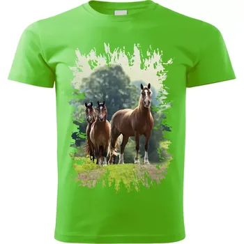 Pánské tričko Pánské tričko s koněm , kůň vzor 450 zelené 3XL (Pánské trička s koňskou hlavou , koněm , koňmi , kůň)