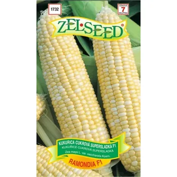 Semeno Semena - SLADKÁ KUKUŘICE ´RAMONDIA´ supersladká 18 g