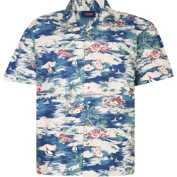 Pánská košile Pánská letní košile "havajka" s krátkým rukávem (vzor Hawai) - v nadměrné velikosti 3458