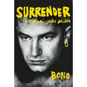 Surrender: 40 písní, jeden příběh - Bono Pangea