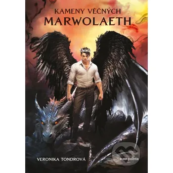 Kniha Kameny věčných - Veronika Tondrová Pointa