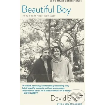 Cizojazyčná kniha Beautiful Boy - David Sheff HarperCollins