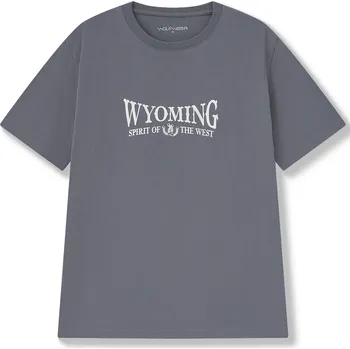 Pánské tričko Pánské tričko - Wolf S2571, šedá Barva: Šedá, Velikost: M