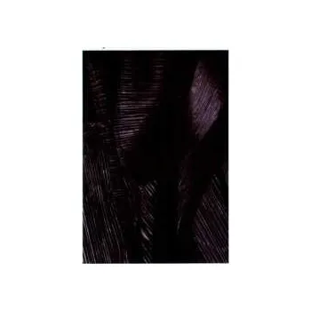 Zahraniční hudba LP Roman Flügel: How To Spread Lies 2010