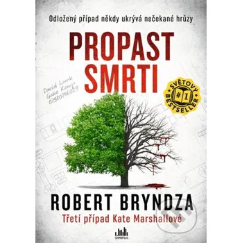 Kniha Propast smrti - Robert Bryndza Grada