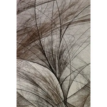 Koberec MEDIPA HANDELS Kusový koberec DIAMOND 24153/760 BARVA: Hnědá, ROZMĚR: 80x150 cm