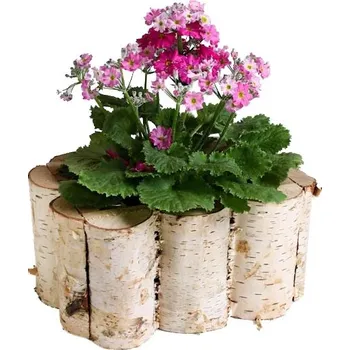 Truhlík Dřevěný truhlík z břízy 20 cm