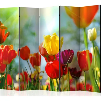 Paraván Paraván - Jarní tulipány II Velikost: 225x172 cm, Provedení: Jednostranný