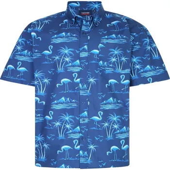 Pánská košile Pánská letní košile "havajka" s krátkým rukávem (vzor Flamingo) - v nadměrné velikosti 3461