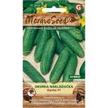 MoravoSeed Okurka nakládačka Karlos F1…