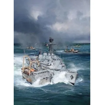 Cestování The Royal Navy and Fishery Protection - Wise, Jon