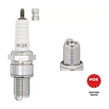 Zapalovací a žhavicí svíčka NGK Zapalovací svíčka (2055)