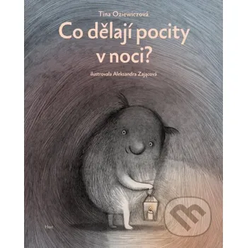 Co dělají pocity v noci? - Aleksandra Zając (ilustrátor), Tina Oziewicz Host