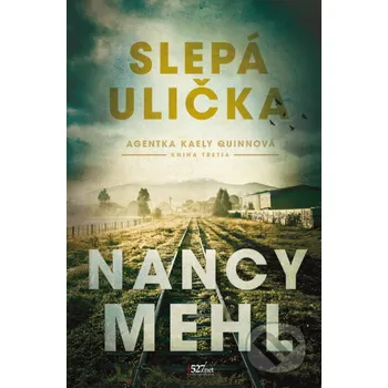Kniha Slepá ulička - Nancy Mehl i527.net
