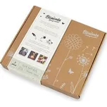 Blossombs Semínkové bomby - Dárková sada střední (9 ks) - originální a praktický dárek v jednom