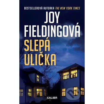 Kniha Slepá ulička - Joy Fielding Kalibr