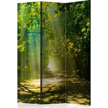 Paraván Paraván - Cesta ve slunečním světle Velikost: 135x172 cm, Provedení: Jednostranný