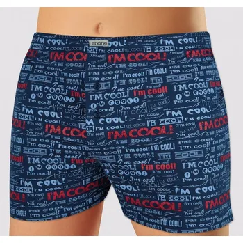 Pánské spodní prádlo Trenky / boxerky / trenkoslipy (potisk cool) - v nadměrné velikosti 4091