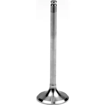 Motor automobilu sací ventil titánový, Athena M621-030