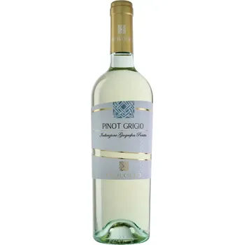 Víno Pinot Grigio I.G.P. Puglia Paololeo (víno bílé, suché)
