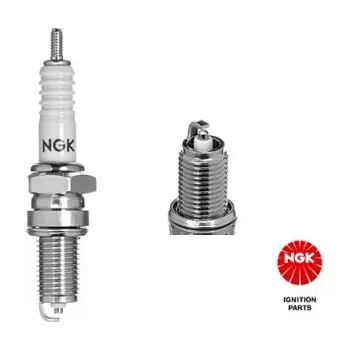 Zapalovací a žhavicí svíčka NGK Zapalovací svíčka (5829)
