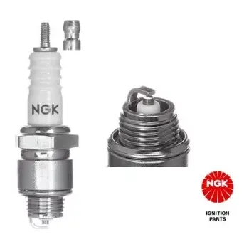 Zapalovací a žhavicí svíčka NGK Zapalovací svíčka (3210)