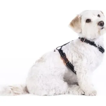 Postroj pro psa HKM Postroj pro psy Anam Cara Basic HKM, black/rose/gold S