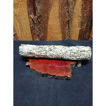 Přírodní kámen Šalvěj bílá - svazek velký 23cm (cca 80g) - Kuřidlo (Salvia apiana)