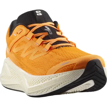 Pánská běžecká obuv Salomon Aero Glide 3 M L47756200 - turmeric/white/black 46