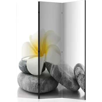 Paraván Paraván - Bílý lotos Velikost: 135x172 cm, Provedení: Jednostranný