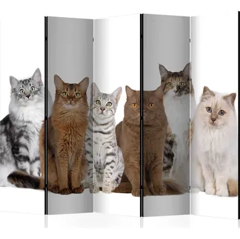 Paraván Paraván - Sweet Cats II Velikost: 225x172 cm, Provedení: Jednostranný