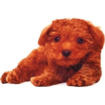 Dekorativní polštářek JAHU Polštářek-3D PUDL