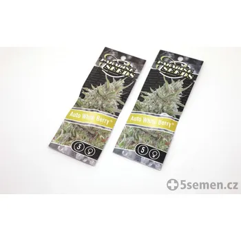 Zahrada Auto Whiteberry® fem. (balení 5)