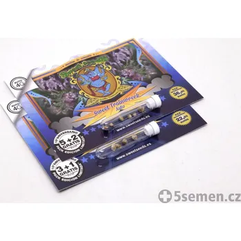 Pěstitelství Sweet Trainwreck Auto® (balení 500)