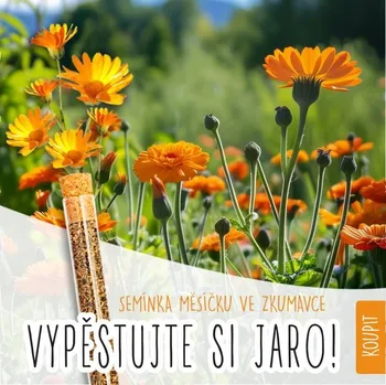 Travní směs Květinová zkumavka - měsíček lékařský