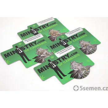 Semeno Auto Blueberry Domina fem. (balení 25+5)