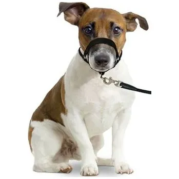 Postroj pro psa Ohlávka proti táhnutí Easy leader černá L