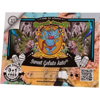 Pěstitelství Sweet Gelato Auto® (balení 25)