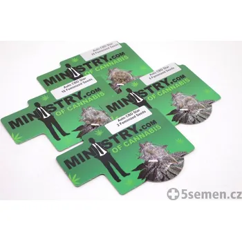 CBD Auto CBD Star fem. (balení 25)