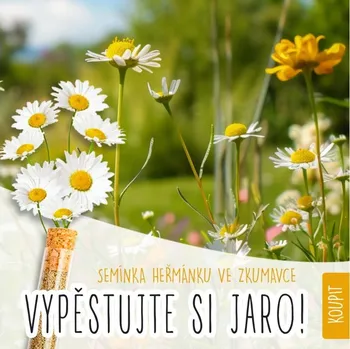 Travní směs Květinová zkumavka - heřmánek pravý