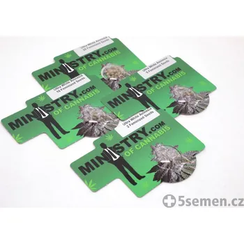 Semeno Ultra White Amnesia fem. (balení 5)