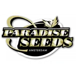 Chocolate Wafflez® fem. (balení 10)