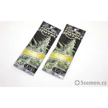 Semeno Auto Pandora® fem. (balení 10)