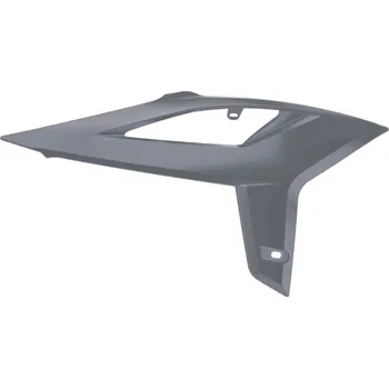 RAD CVR BETA 20- GREY BETA RR 400 2020-2019