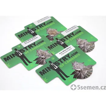 Semeno Auto White Widow fem. (balení 5)